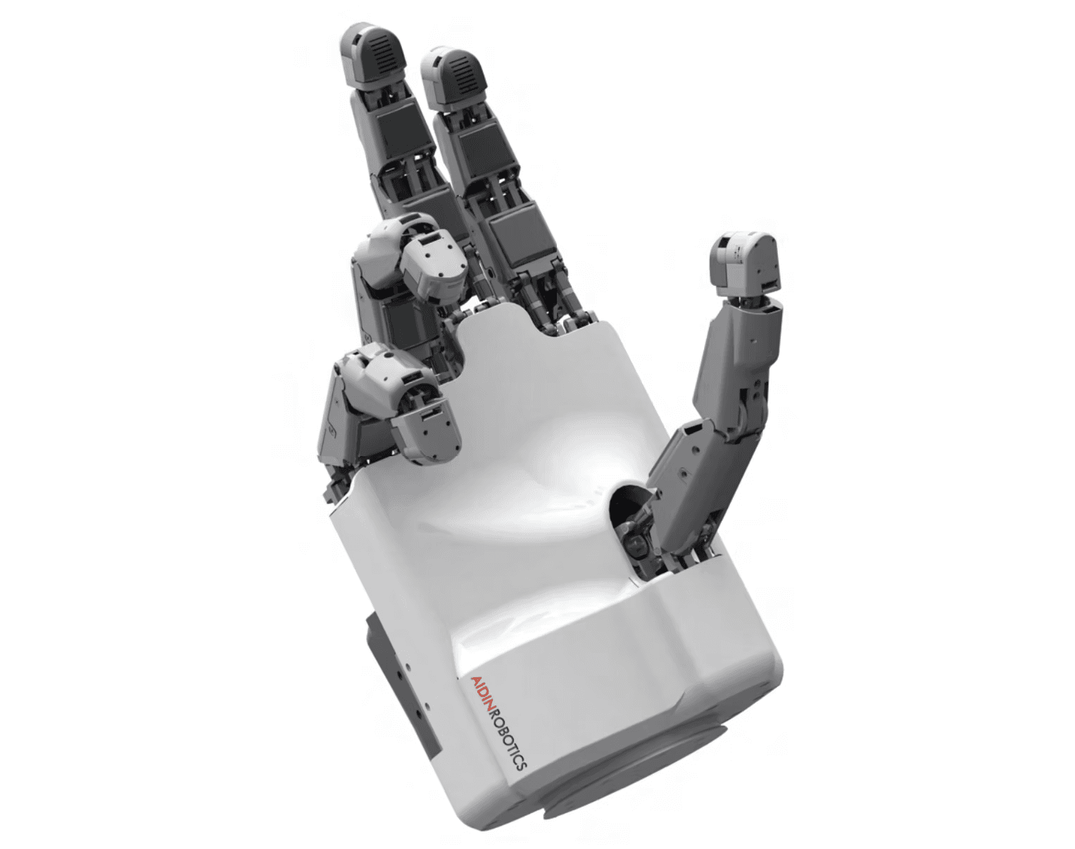에이딘 Robotic Hand