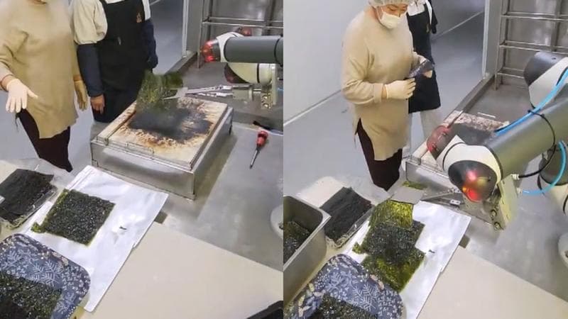 RB3-1200 협동로봇을 활용한 김 구이 자동화 솔루션