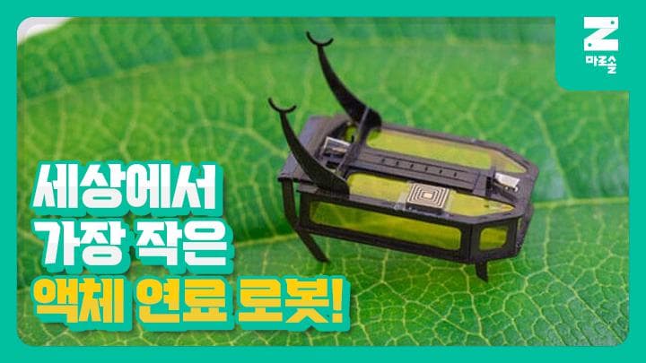 기네스북에도 올랐다!? 세상에서 가장 작은 OO