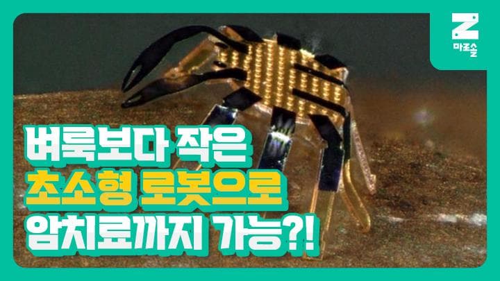 벼룩보다 작은 초소형 로봇