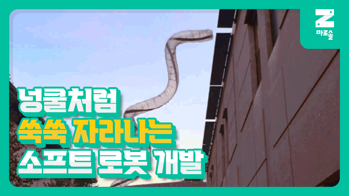 넝쿨처럼 쑥쑥 자라나는 소프트로봇 개발